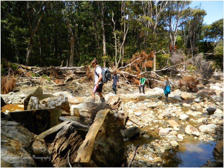Collapsed Bridge - Bush's Beach Reserve