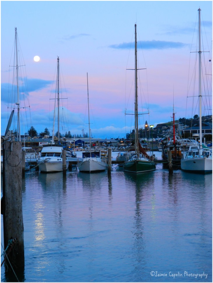 Napier Harbour Moonrise