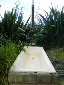 Beach Tub