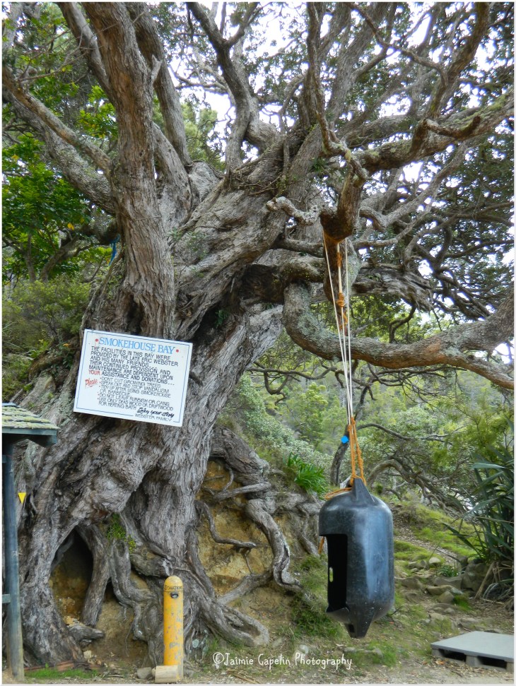 Smokehouse Bay