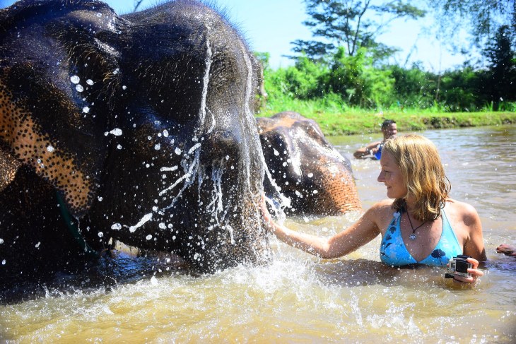 Volunteering with Elephants – Chiang Mai,&nbsp;Thailand