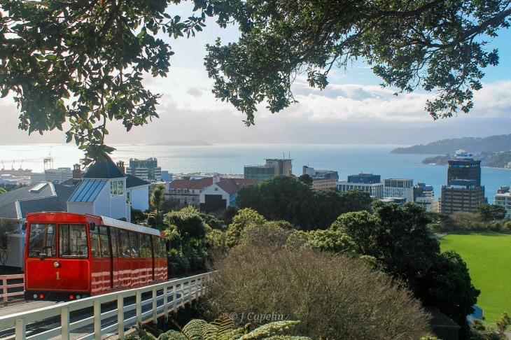 Wellington ~ Te Whanganui-a-Tara